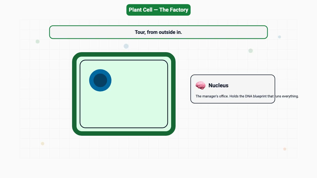 The plant cell, as a self-sufficient factory